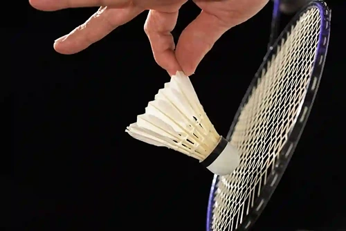 Badminton (40 min)